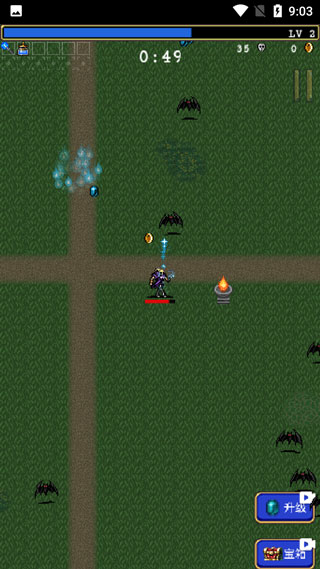 吸血鬼幸存者图片6