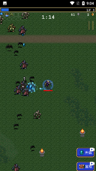 吸血鬼幸存者图片7